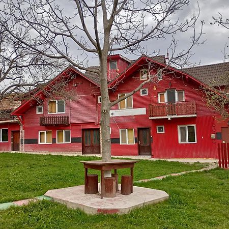 Pensiunea Irina 3 Zărneşti Extérieur photo