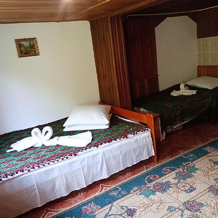 Pensiunea Irina 3 Zărneşti Extérieur photo