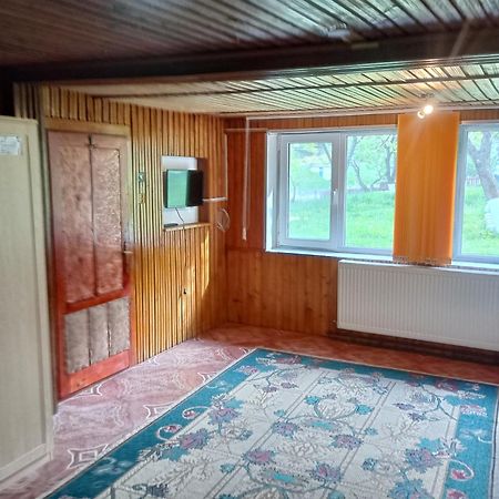 Pensiunea Irina 3 Zărneşti Extérieur photo
