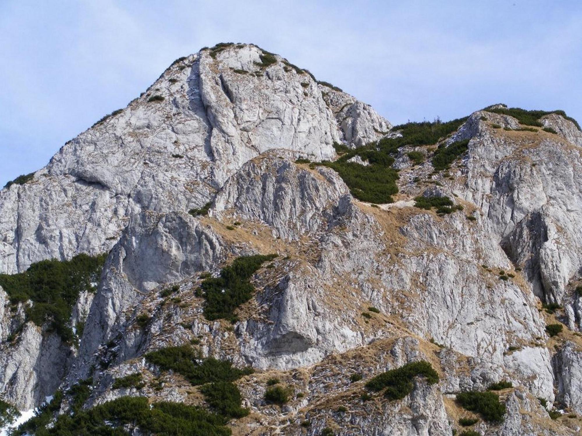 Pensiunea Irina 3 Zărneşti Extérieur photo