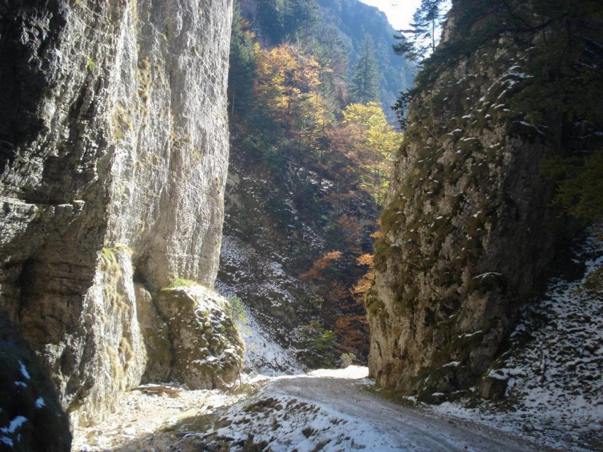 Pensiunea Irina 3 Zărneşti Extérieur photo