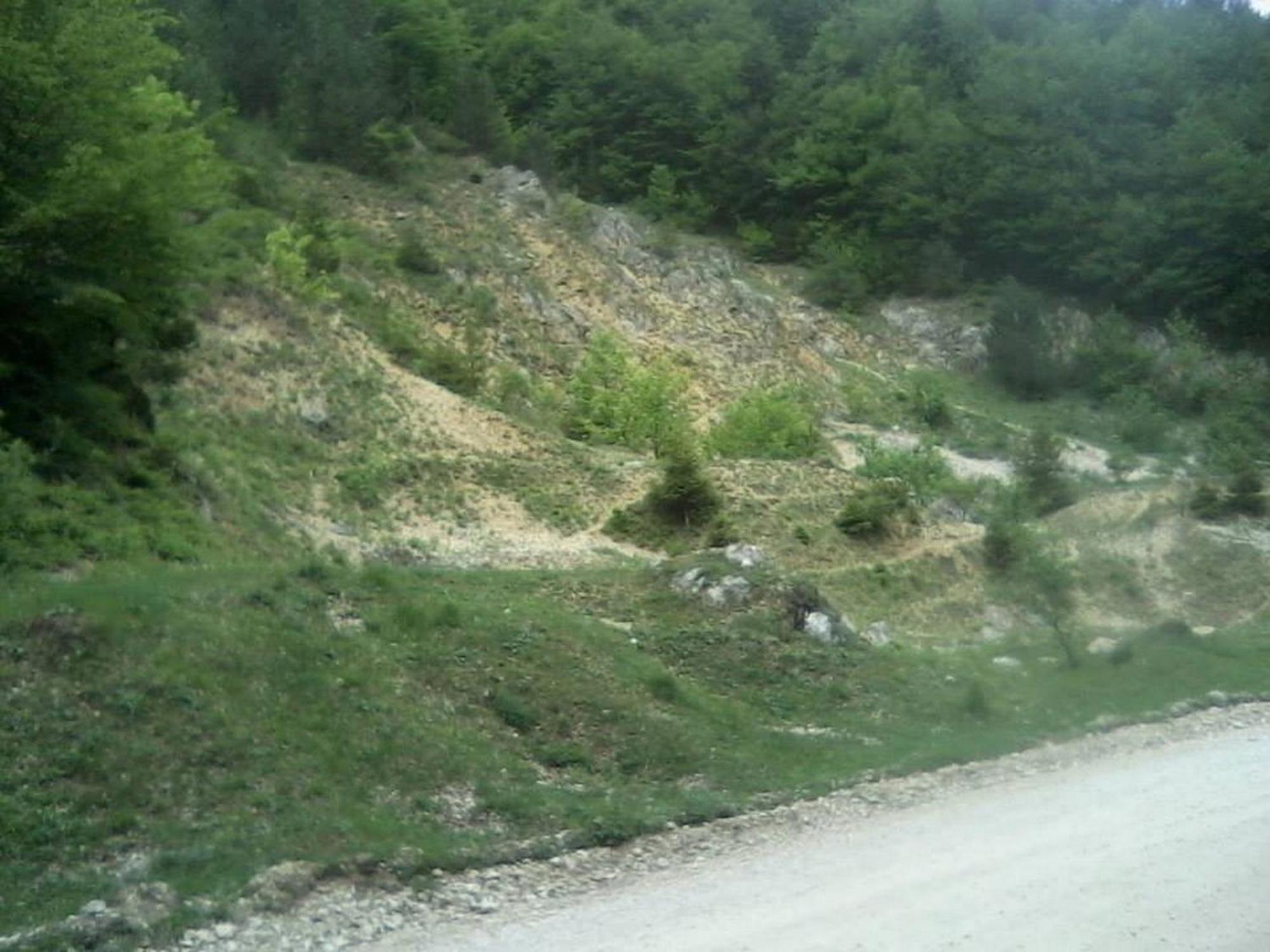 Pensiunea Irina 3 Zărneşti Extérieur photo