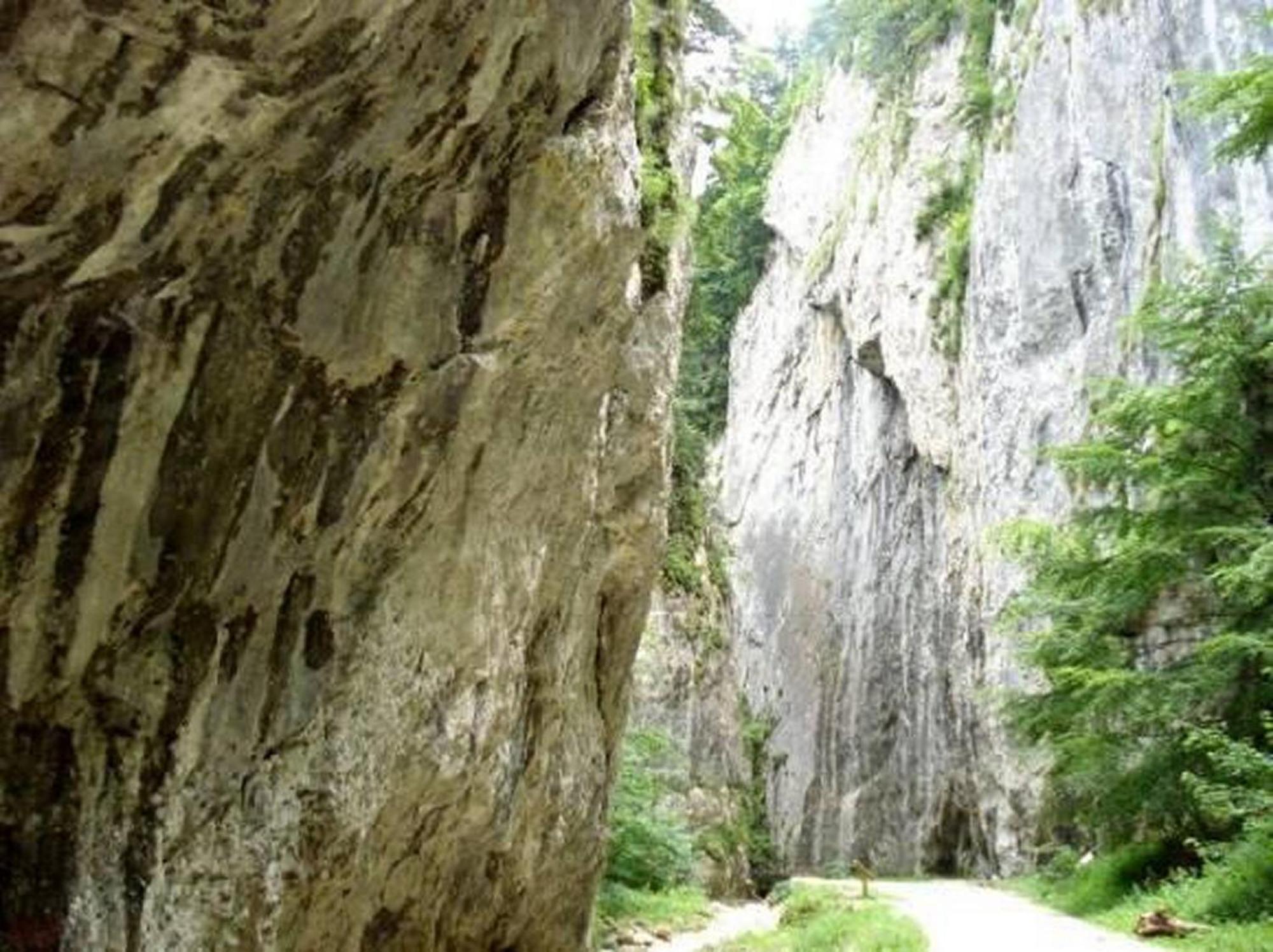 Pensiunea Irina 3 Zărneşti Extérieur photo