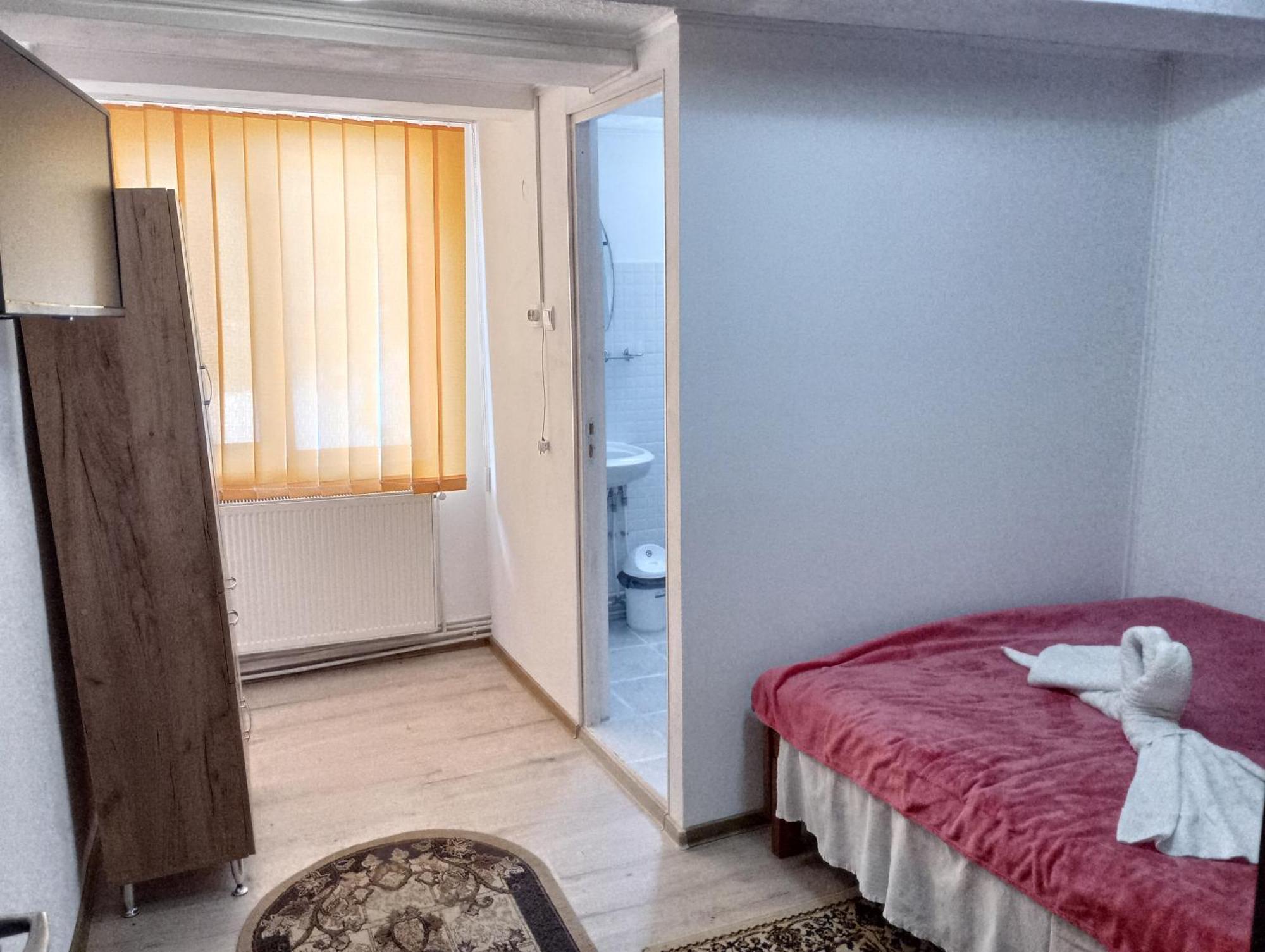 Pensiunea Irina 3 Zărneşti Extérieur photo