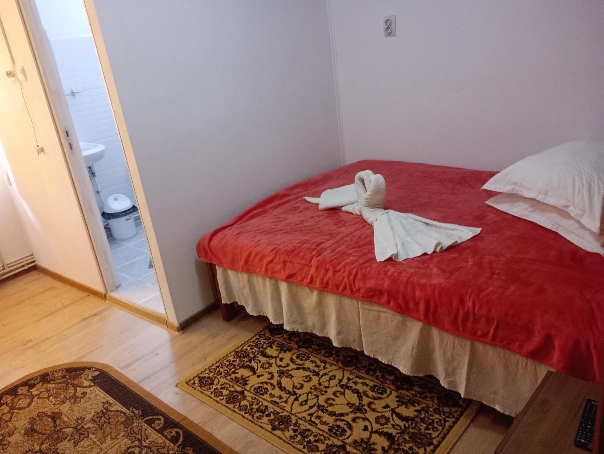 Pensiunea Irina 3 Zărneşti Extérieur photo
