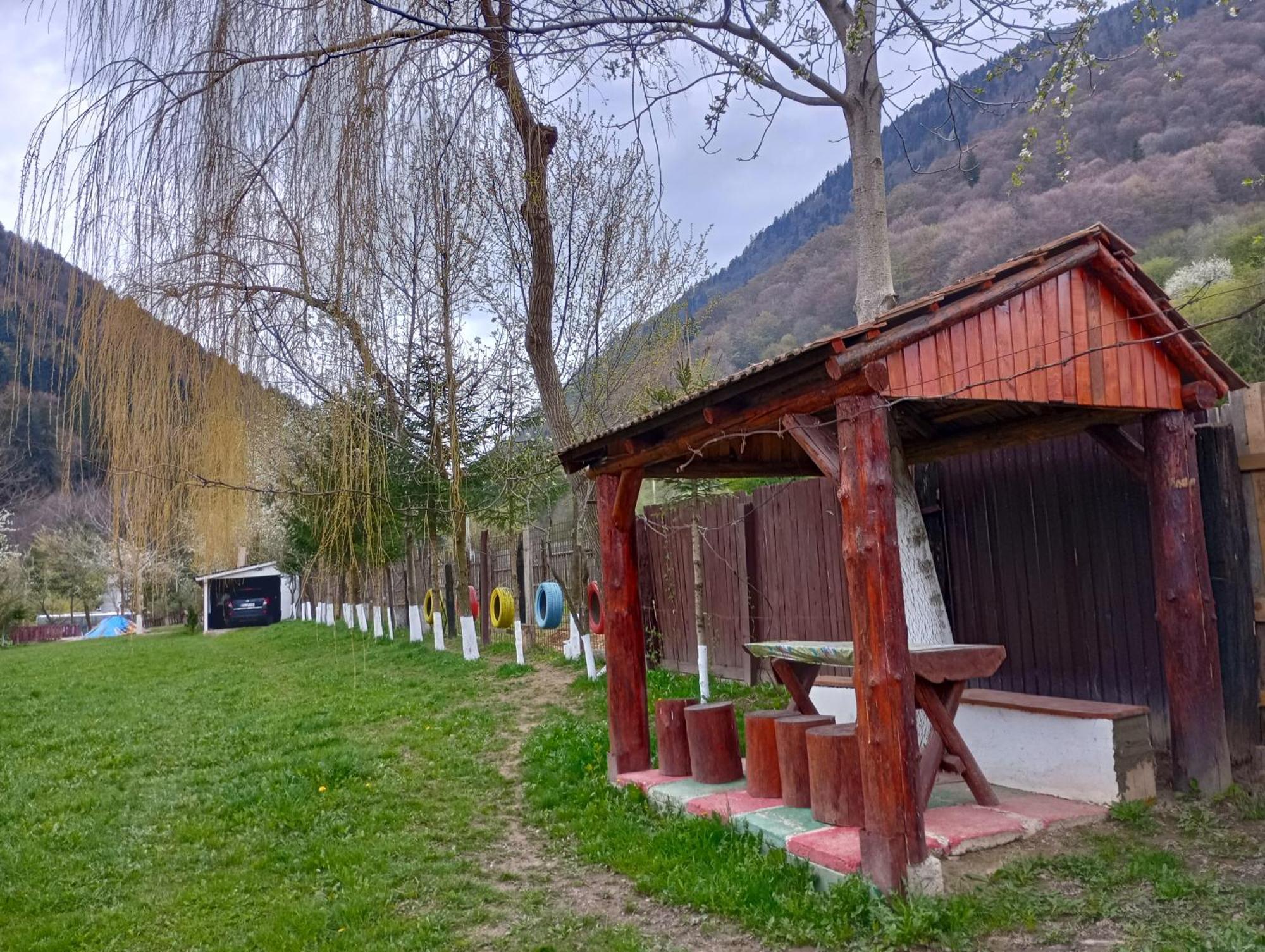 Pensiunea Irina 3 Zărneşti Extérieur photo