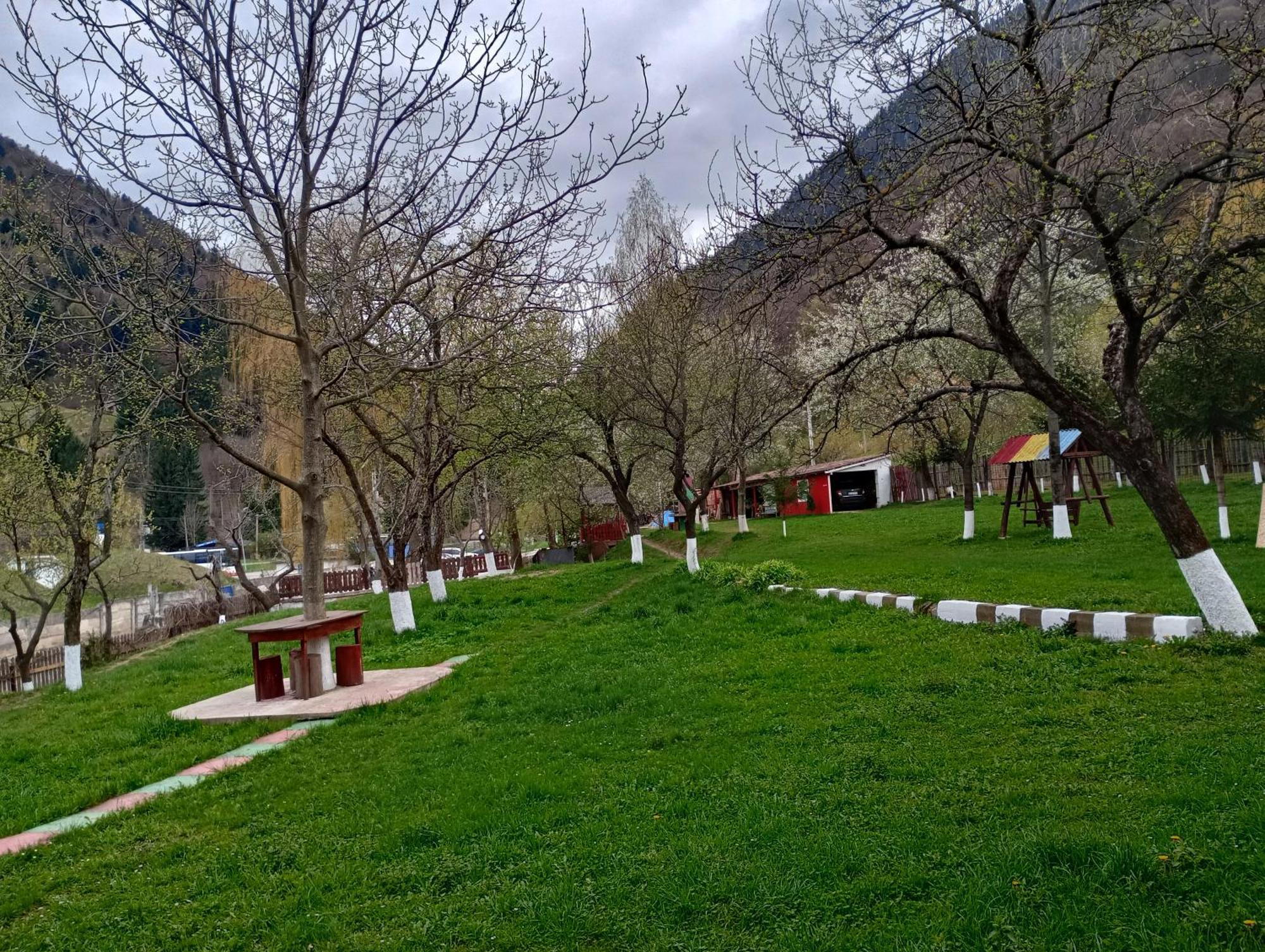Pensiunea Irina 3 Zărneşti Extérieur photo
