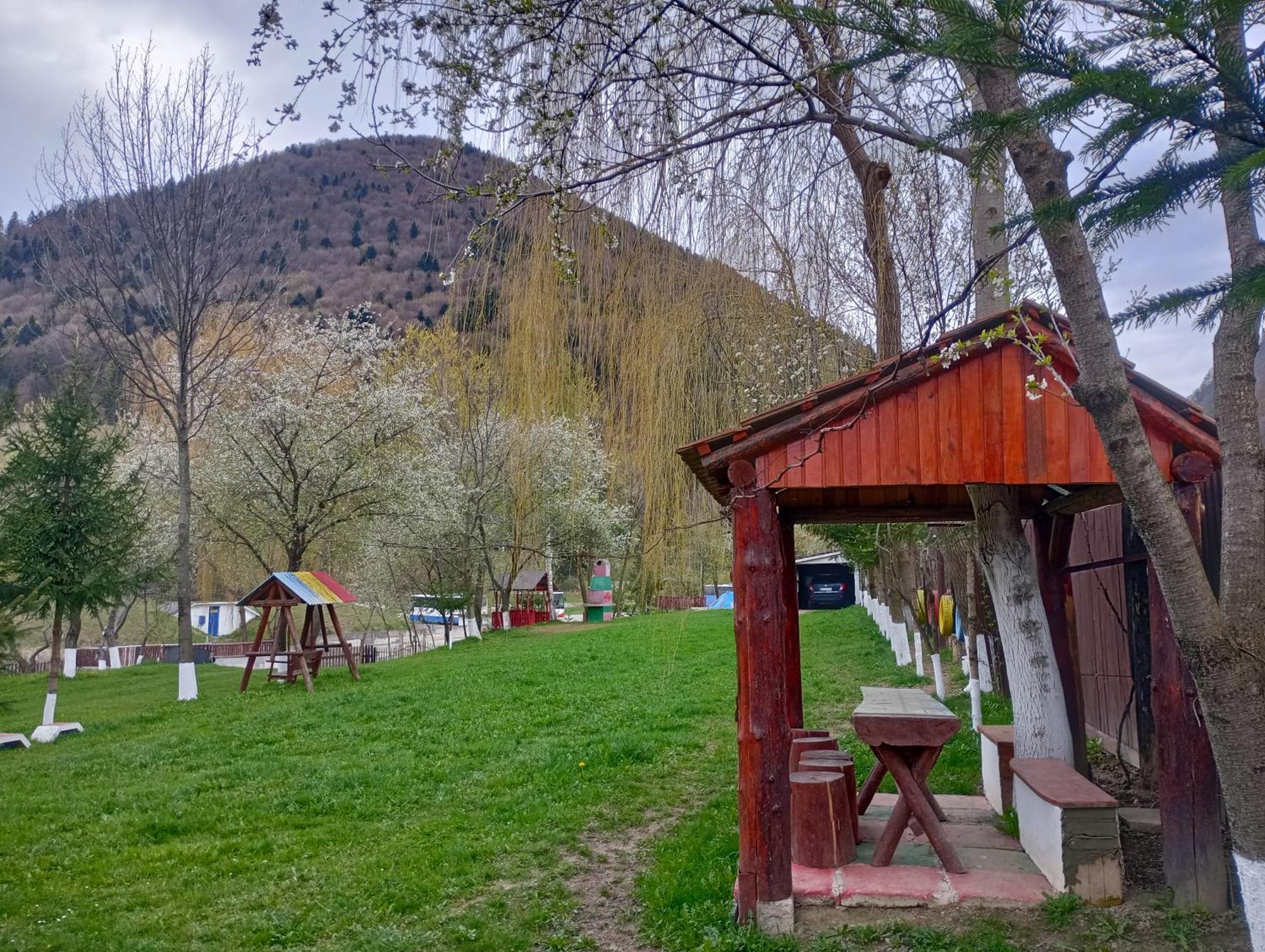Pensiunea Irina 3 Zărneşti Extérieur photo
