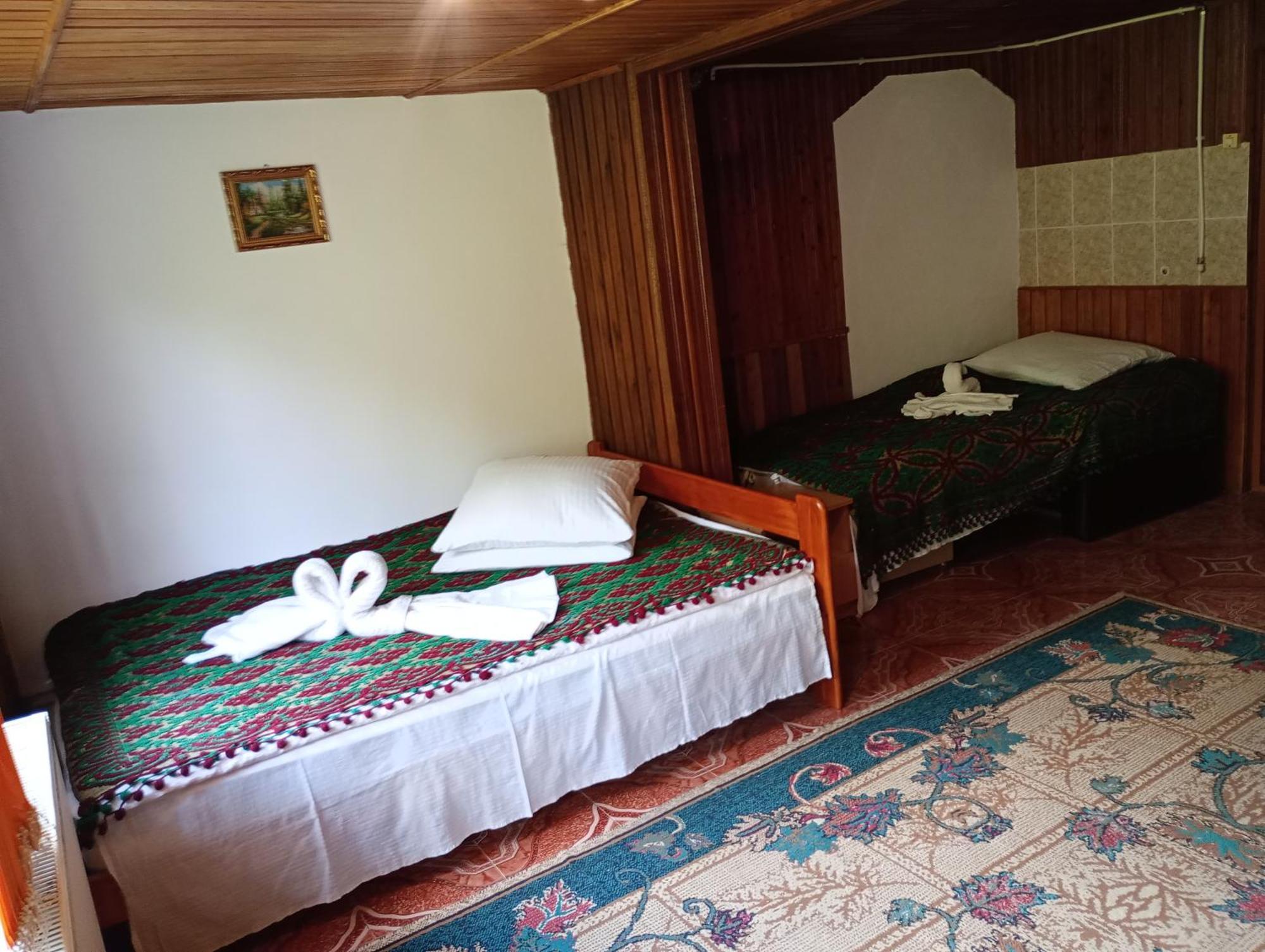 Pensiunea Irina 3 Zărneşti Extérieur photo